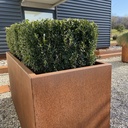 Carré potager en acier corten 125cm x 125cm