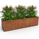 Bac en acier corten rectangulaire 200cm x 50cm