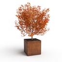 Bac carré 120cm x 120cm