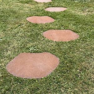 Aménagement du jardin / Pas japonnais