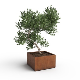 Bac carré 70cm x 70cm