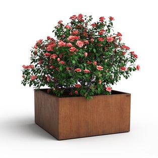 Bac carré 140cm x 140cm