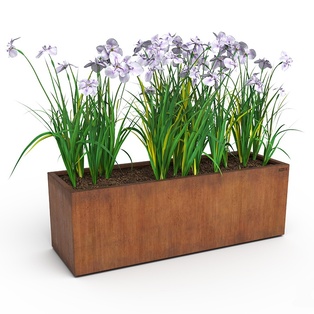 Bac en acier corten rectangulaire 150cm x 50cm