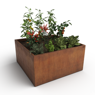 Carré potager en acier corten 175cm x 175cm